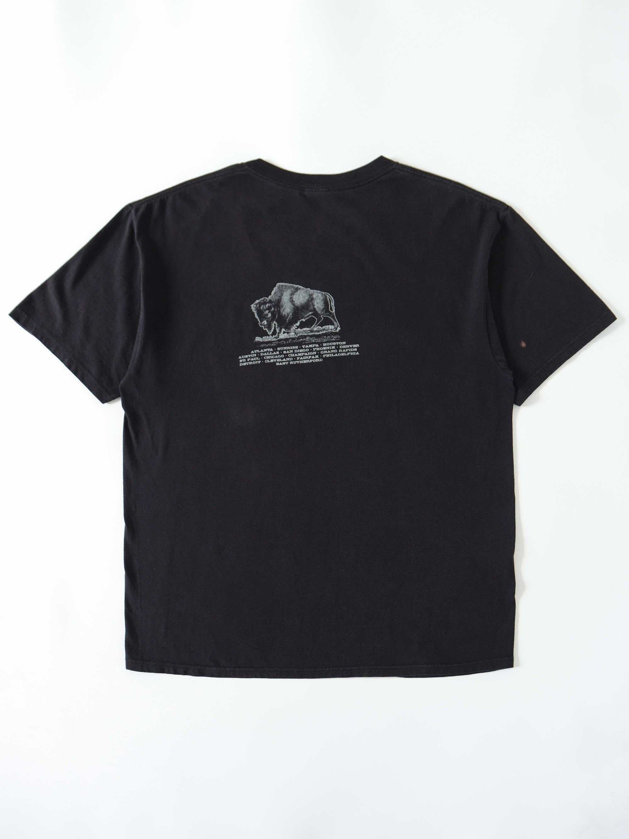 VINTAGE BLACK FOO FIGHTER "IN YOUR HONOUR" T-SHIRT