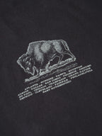 VINTAGE BLACK FOO FIGHTER "IN YOUR HONOUR" T-SHIRT